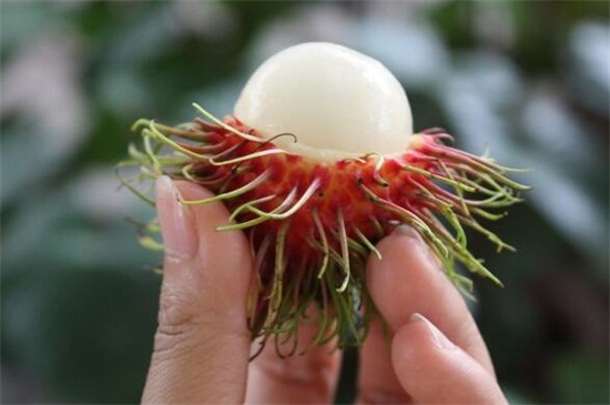 红毛丹的核膜怎么去掉，盐水浸泡/轻轻咬破利于身体健康