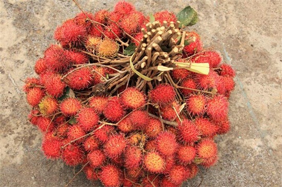 红毛丹的核膜怎么去掉，盐水浸泡/轻轻咬破利于身体健康