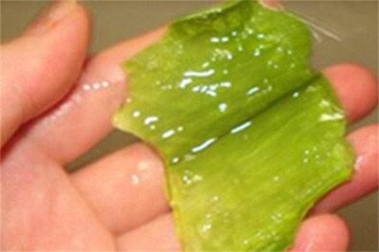 怎么使用芦荟消炎，去表皮液体肉涂抹在皮肤上
