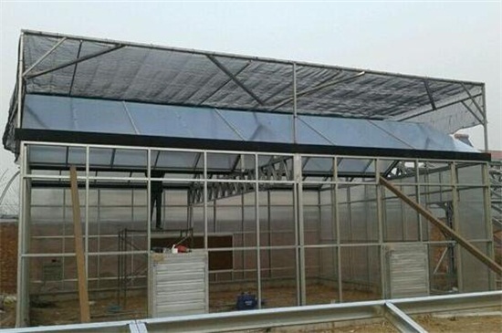 10亩玻璃大棚要多少钱