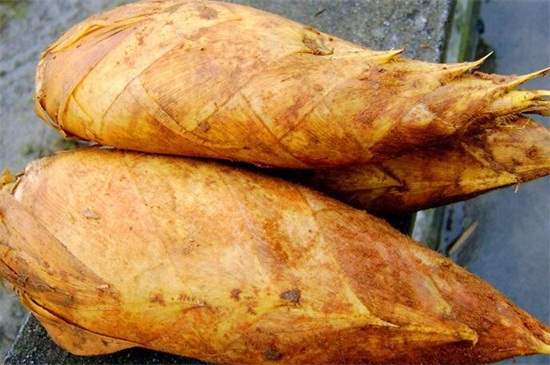 冬笋价格多少钱一斤