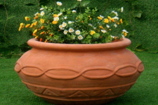 迷迭香适合用什么盆土，瓦盆栽种透气能力强