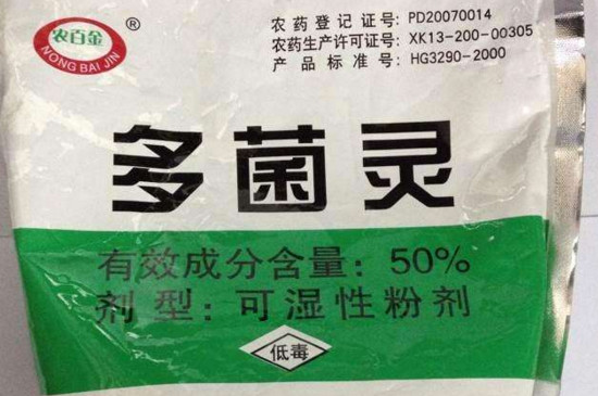 月季生病用什么药