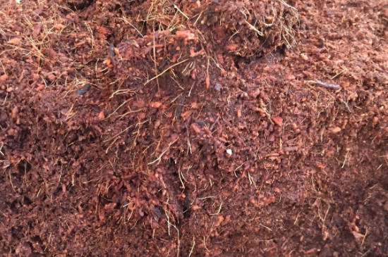 椰砖的使用方法及其注意事项
