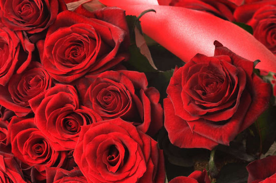 送百合和玫瑰花束代表什么