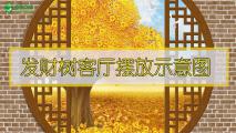 发财树客厅摆放示意图
