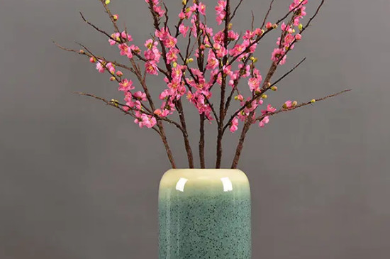 刚买的干枝腊梅怎样让它发芽