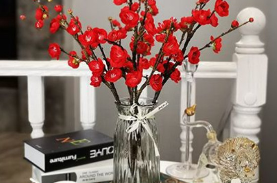 刚买的干枝腊梅怎样让它发芽