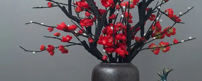 刚买的干枝腊梅怎样让它发芽