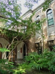 台湾大学植物标本馆