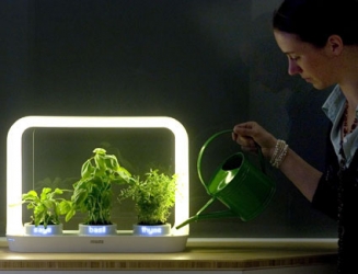 中国科学院植物研究所标本馆