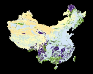 中国植被类型资源信息