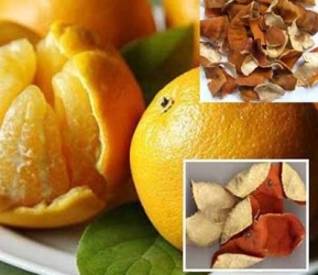 陈皮的功效与作用