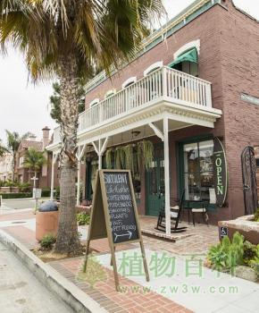 bet365365体育
主题咖啡吧