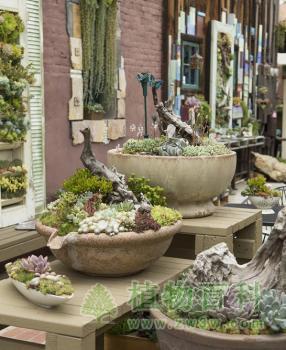 bet365365体育
主题咖啡吧