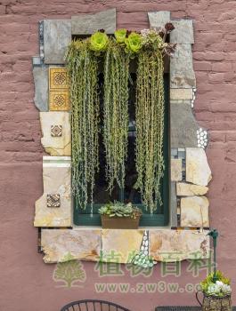 bet365365体育
主题咖啡吧