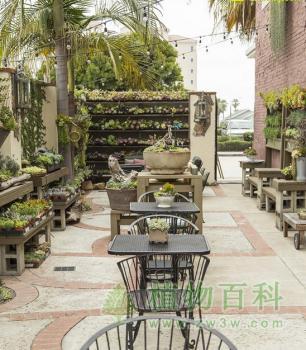 bet365365体育
主题咖啡吧