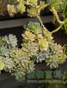 bet365365体育
主题咖啡吧