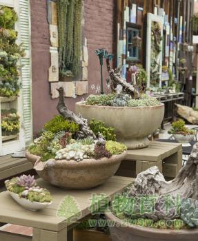 bet365365体育
主题咖啡吧