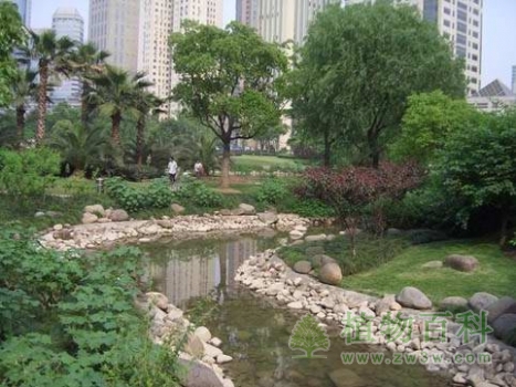 浅谈园林植物的色彩艺术