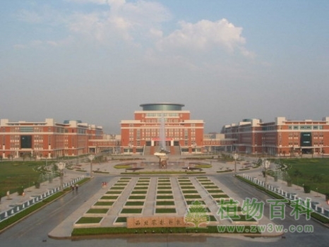 西北农林科技大学植物标本馆