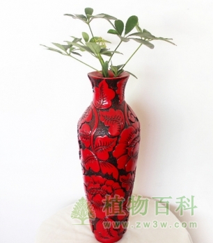 花影花瓶增添美景