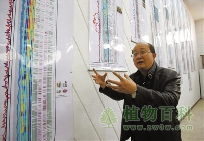 我国完成世界首张西瓜基因组序列图谱