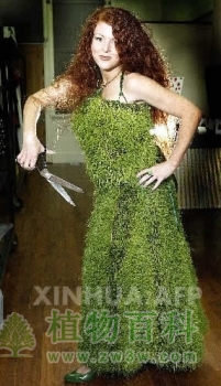 世界上第一件活草衣