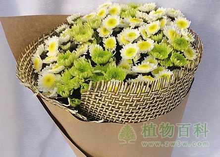 向外国人送花的禁忌