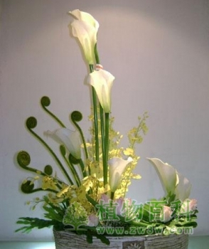 节日家庭花艺设计