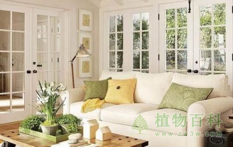 节日家庭花艺设计