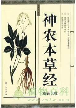 世界上最古的草药书