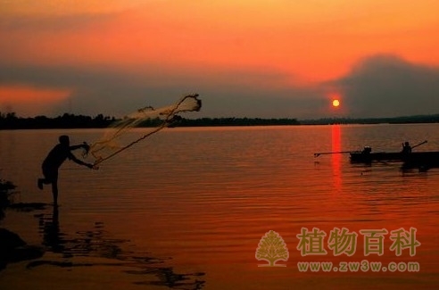 西双版纳热带植物园春节科普活动