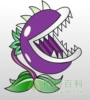 “大嘴花”来了