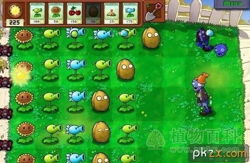植物大战僵尸游戏