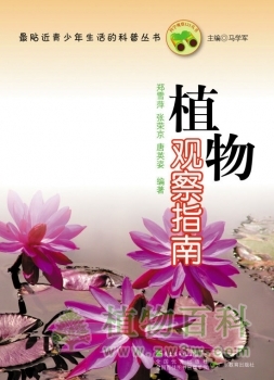 植物观察指南
