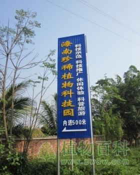 海南珍稀植物科技园开园