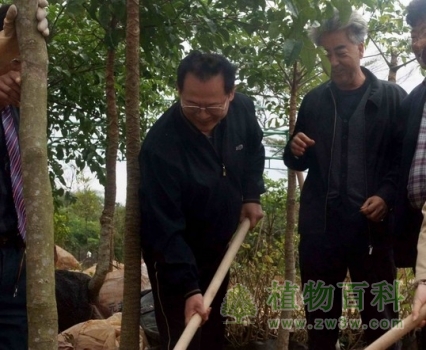 海南珍稀植物科技园开园