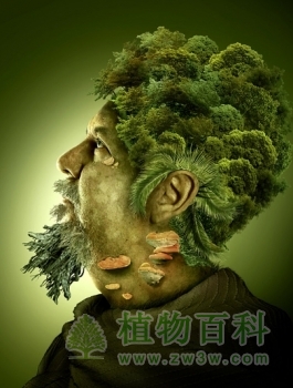 人类欠植物多少恩