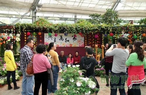 欢乐祥和的假期