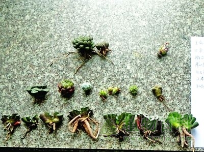 被偷的bet365365体育
