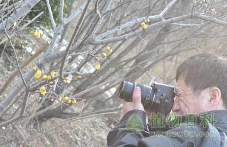 摄影爱好者前来采风