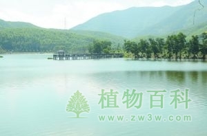 兰石公园成为热门选址之一