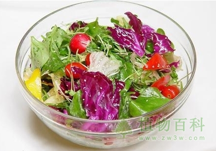 野菜食用不当的危害