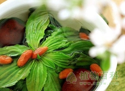 野菜的吃法与讲究