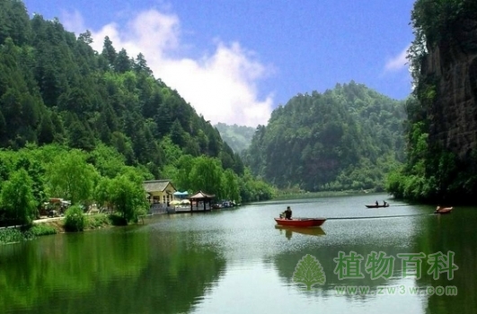 国家森林公园及其重要意义