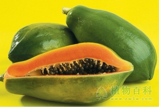 木瓜的功效与作用