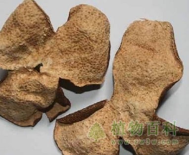 陈皮的功效与作用