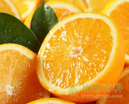 橙子的功效与作用