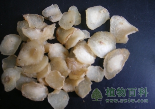 清半夏的功效与作用